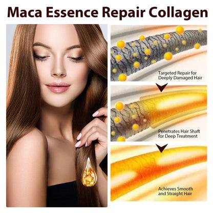 Collagen  Oil